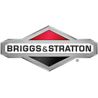 Moteur, horizontal Origine Briggs & Stratton