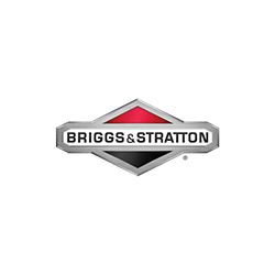 Rondelle et jeu d'ecrous Origine Briggs & Stratton